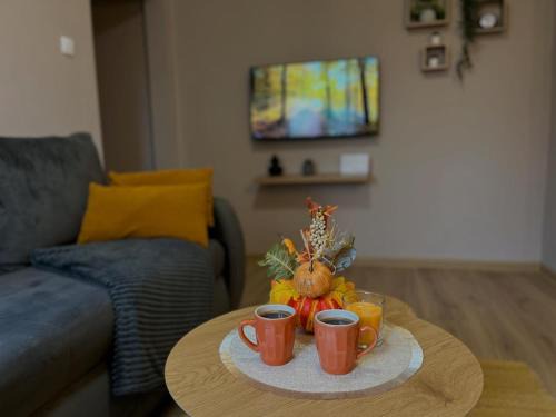 Apartman Momirov Titel