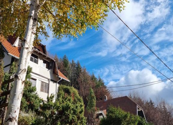 APARTMAN NA STAZI - Bela Reka, Kopaonik