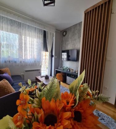 Apartman Rajska dolina Titova vila