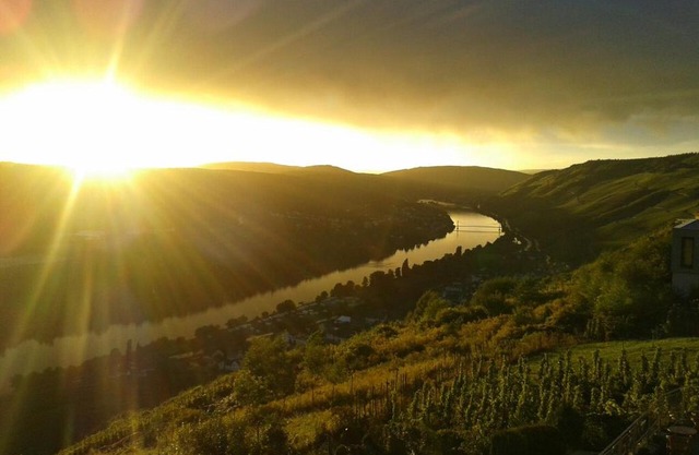 Apartment an der Mosel 1