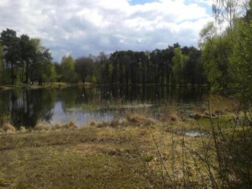 Apartment in Groenlo with Private Garden