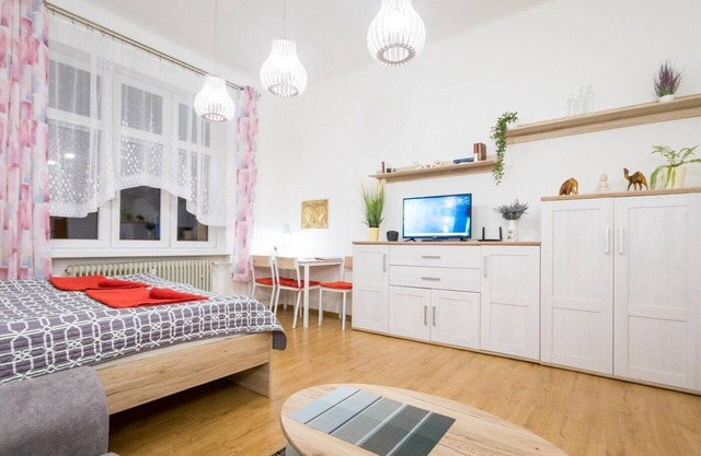 Apartment in the city center