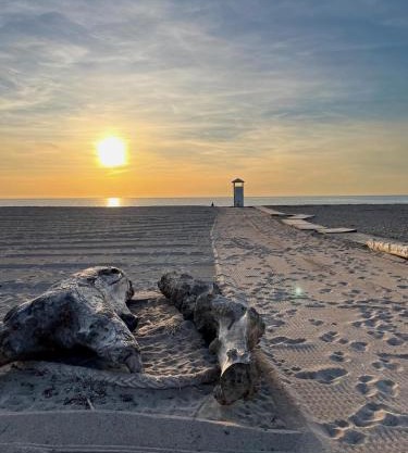 Apartment Sud Sardinia