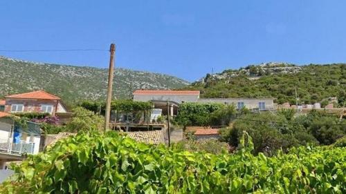 Apartments with WiFi Postup, Peljesac - 23780