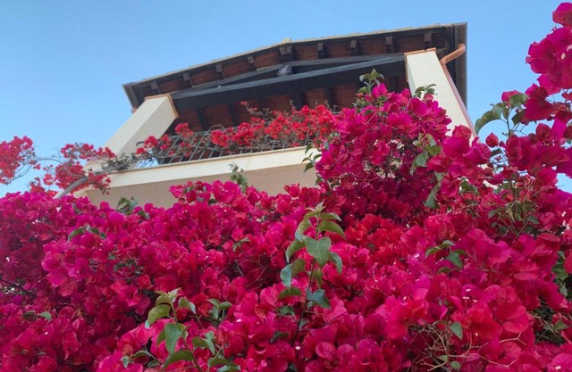 Appartamenti Supramonte