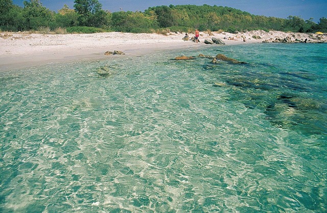 Appartamenti Le Carrube vicini al mare