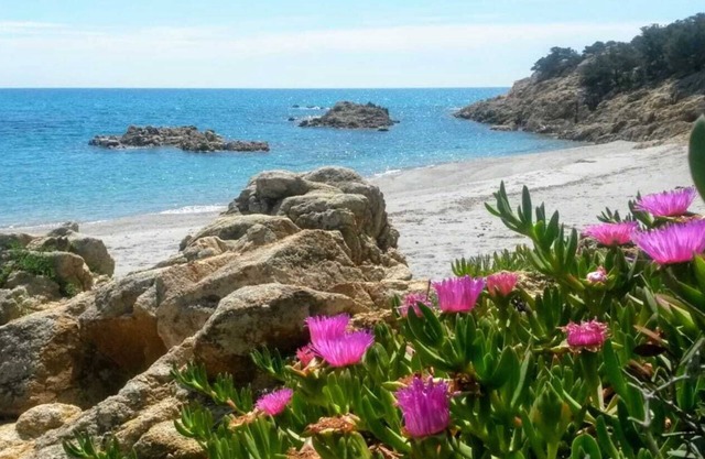 APPARTAMENTO VISTA MARE CON ACCESSO DIRETTO ALLA SPIAGGIA DI MARZELLINU