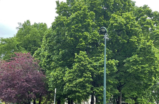 Appartement Dans Résidence Calme et Entouré dun Parc Boisé
