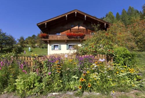 Appartements Gut Berg