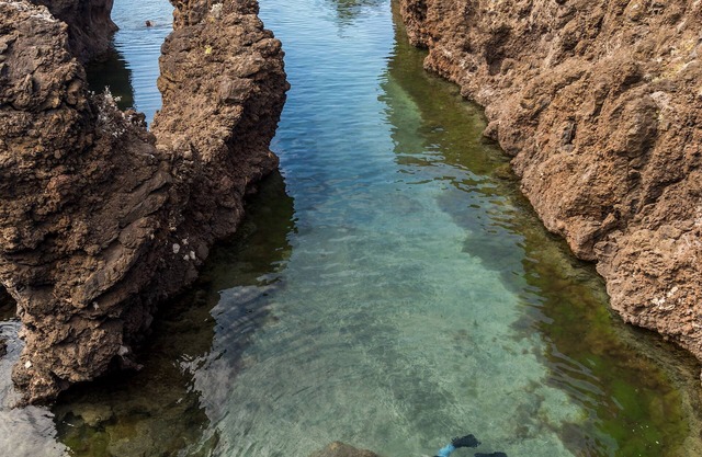 Aqua Natura Madeira Hotel