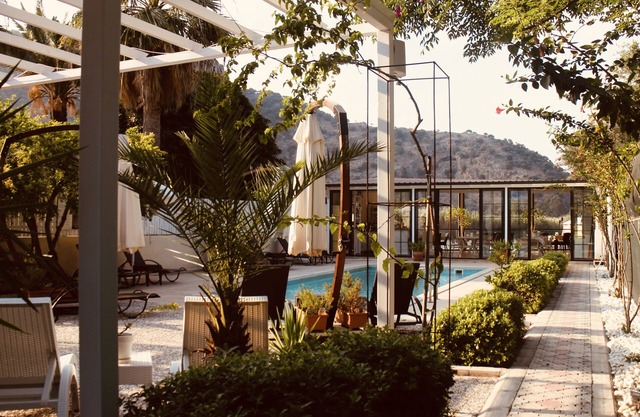 Arp Dalyan