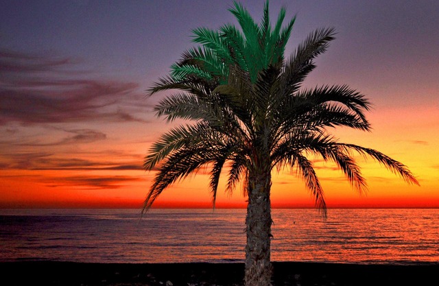 Arrayanes Playa Hotel