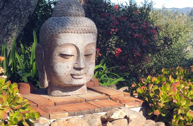 Art-Filled ORINDA ZEN Retreat. BREATHTAKING VIEWS! Minutes to BART, SAN FRANCISC