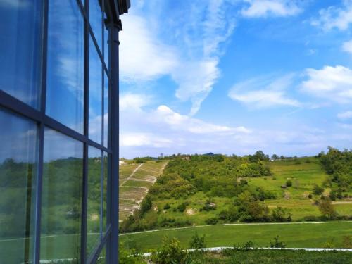 ARTs in Monferrato