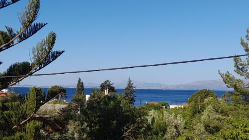 Asteria Apartments
