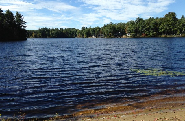 at water's edge on quiet pond