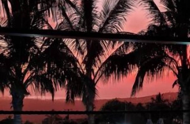 AU TI Bonheur D'en O' T3-2