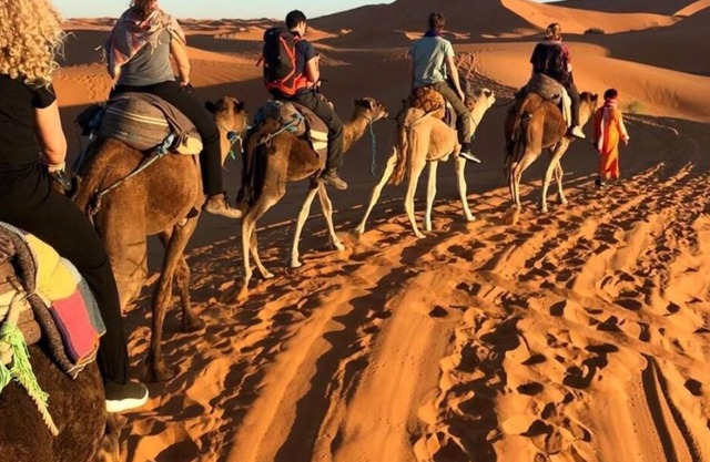 Auberge Camping La Liberté