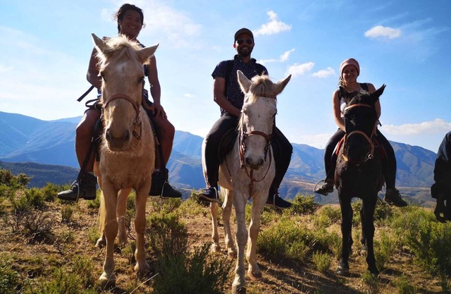 Authentic African thatched house