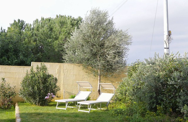 Avion B&B