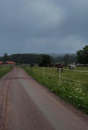 Bäckagården - self catering cabin