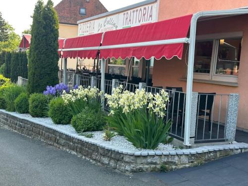 B&B la Collina