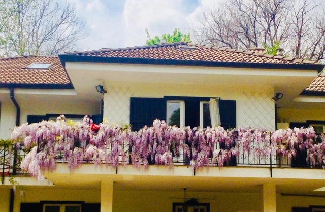 B&B La libellula