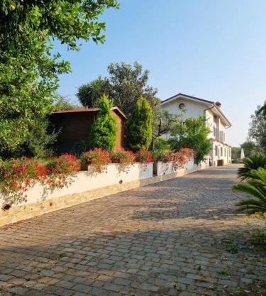 B&B La Terrazza di Frascati