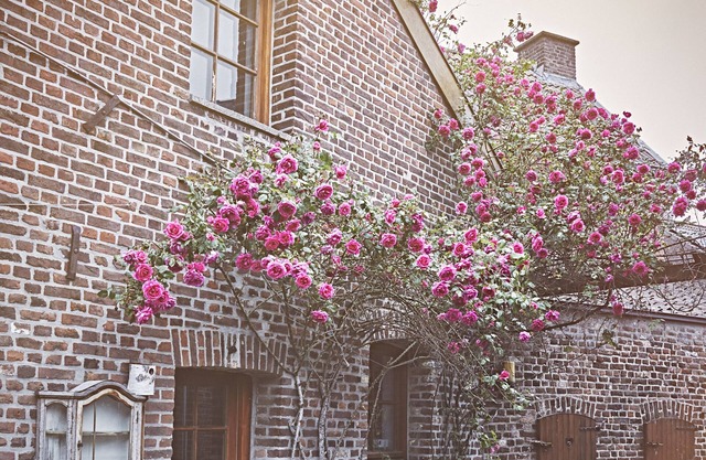 B&B Maas en Heuvel Maastricht