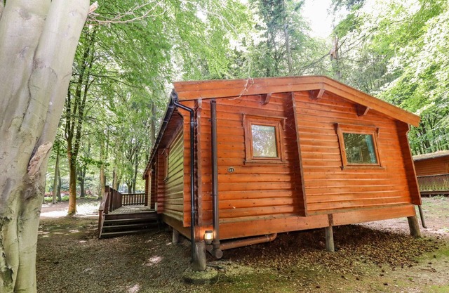Bamboo Retreat