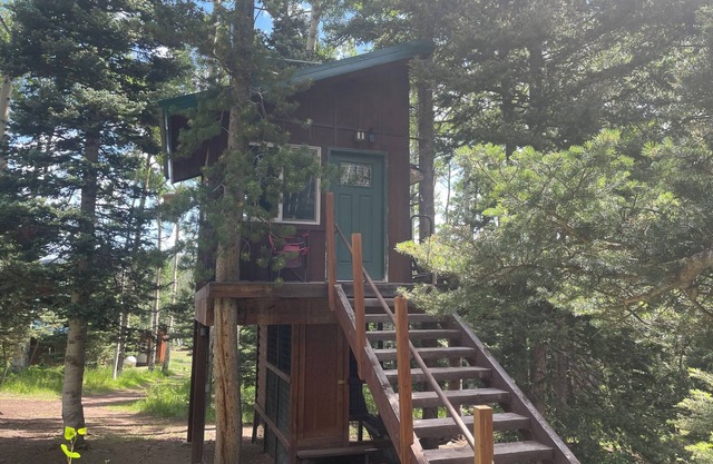 Bayly's Treehouse Retreat