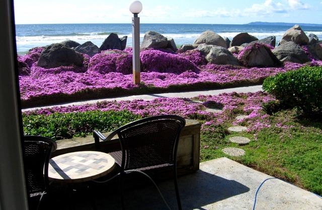 Beach Front Condo Nothing Between You & The Ocean! STEPS TO THE BEACH👙