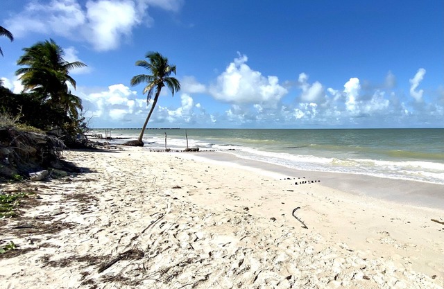 Beachside Bliss in Chuburna: Modern, Pool & Local Culture-Your Perfect Escape!