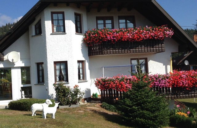Beautiful, large, comfortable vacation apartment to feel at home in.