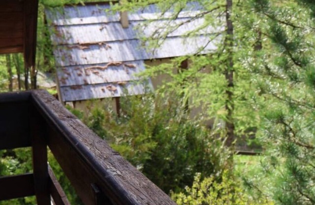 Beautiful and spacious mountain chalet in Queyras - Abriès. Pet friendly!