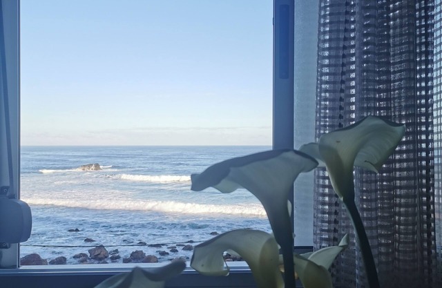 BEAUTIFUL APARTMENT ON THE SEA OF THE SEA.