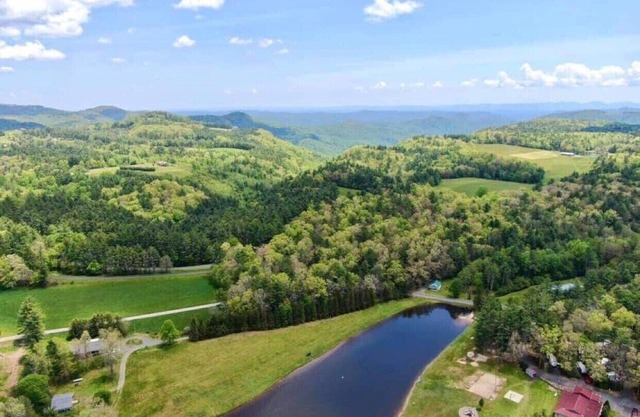 Beautiful Cabin in the Heart of Blue Ridge Parkway