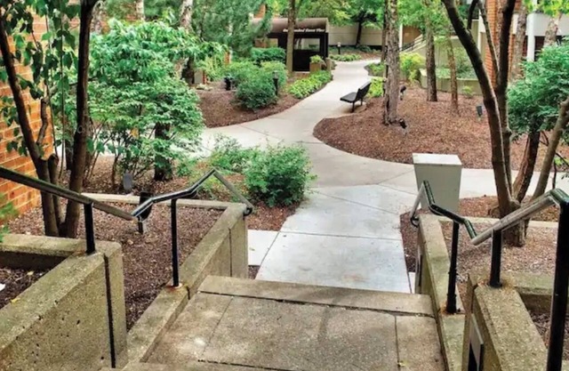 BEAUTIFUL COZY APARTMENT