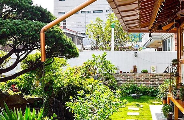 Beautiful Garden Fine Day House