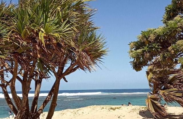 Beautiful T2 with terrace in the heart of Saint Pierre