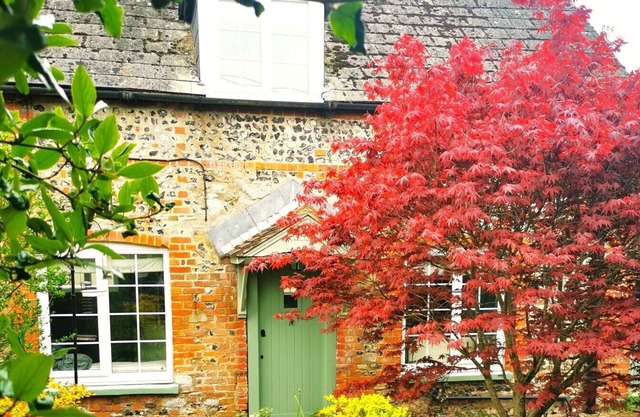 Beautiful, traditional rural cottage