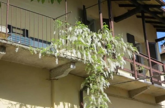 Belgirate il Lavatoio