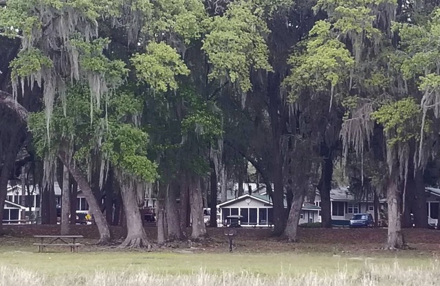 Best view cottage at Salt Springs Resort