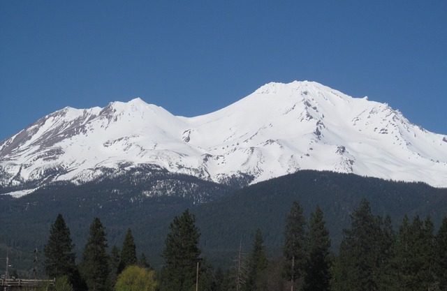 Best views of the mtn and a private creek! Farm fresh veggies and eggs too.