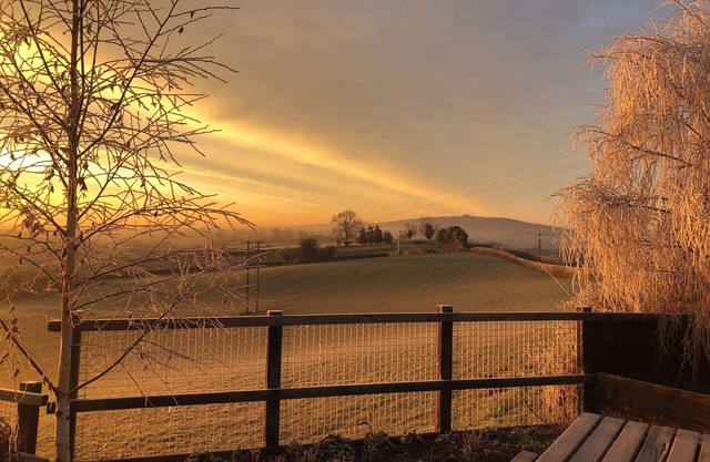 Betula Views Studio - Tiny Home in Rural Oxenhal, Newent, Forest of Dean