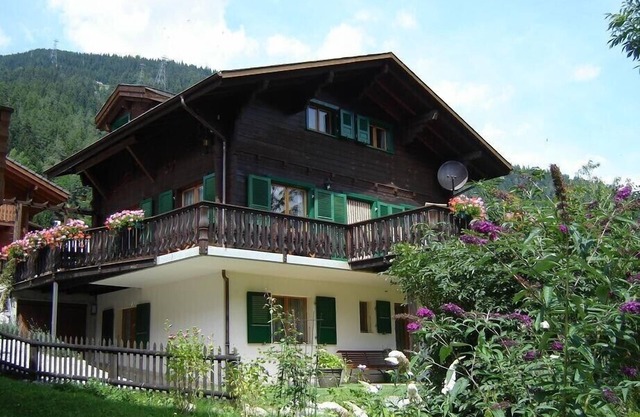 Big chalet with sauna, 3 bathrooms, walking minutes from cable car,private park.