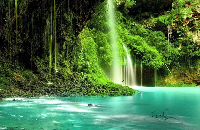 Big events and family fun Tampa style