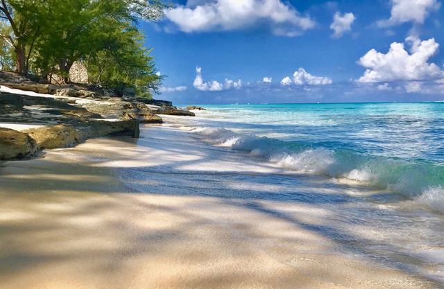 Bimini Hideway - Apex