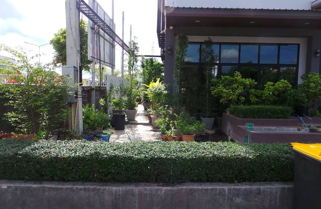 Bird Day Boutique Hotel