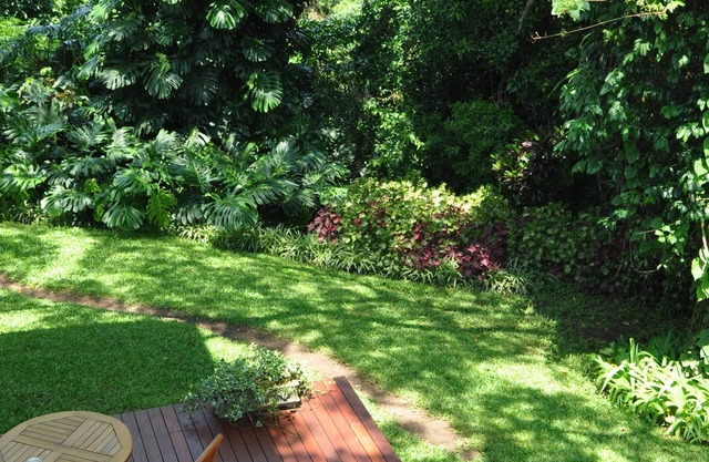 Birds of paradise B&B